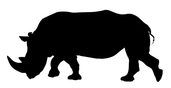 Rhinoceros — Stock Vector