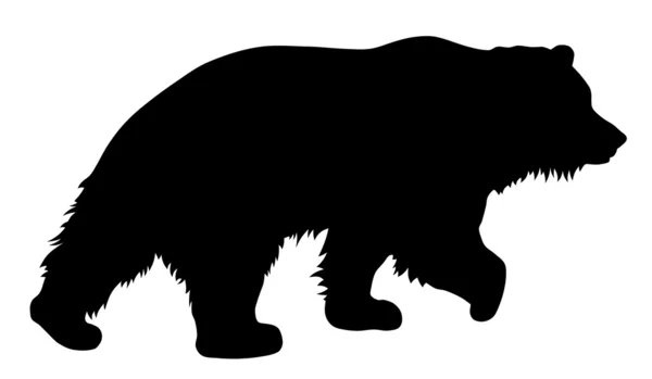 Medve — Stock Vector