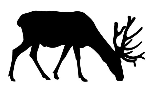 鹿 — ストックベクタ