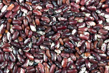 Close up of colorful type of beans