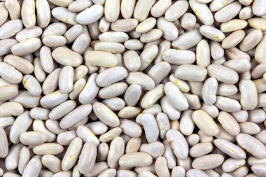Close up of white type of beans