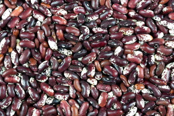Close Colorful Type Beans — Stock Photo, Image