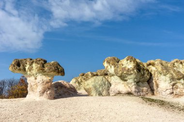 The natural phenomenon Stone mushrooms is located in Rhodopi mountain, Bulgaria