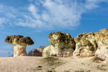 The natural phenomenon Stone mushrooms is located in Rhodopi mountain, Bulgaria