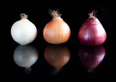 Different types of onions on black reflective background