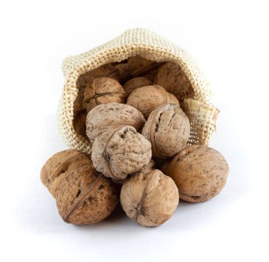 Walnuts in a sack on white background