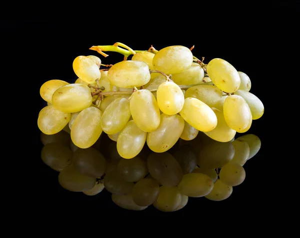 Grape Reflective Black Studio Background — Stok fotoğraf