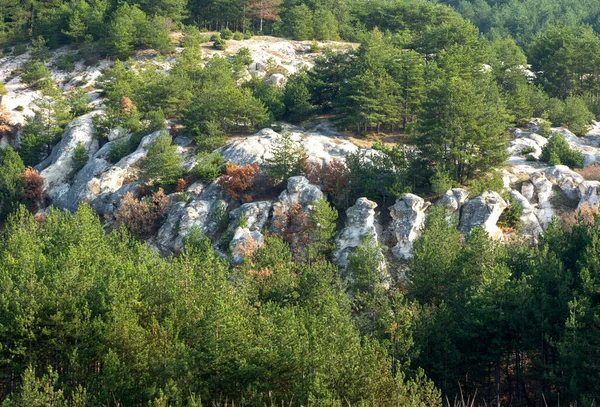 Roca Fenómeno Boda Piedra Situado Cerca Aldea Zimzelen Bulgaria — Foto de Stock