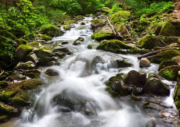 Fiume Montagna Vicino Alla Città Teteven Monti Balcani Bulgaria — Foto Stock