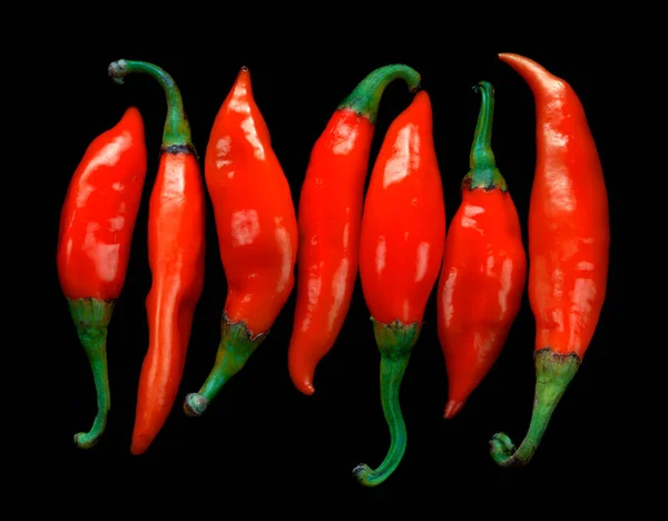 Pimientos Rojos Aislados Sobre Fondo Negro — Foto de Stock