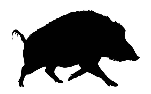 Vektorillustration Der Silhouette Von Wildschweinen — Stockvektor