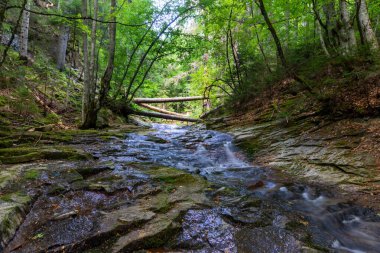 Bulgaristan 'ın Smolyan kenti yakınlarındaki Şelale Kanyonu