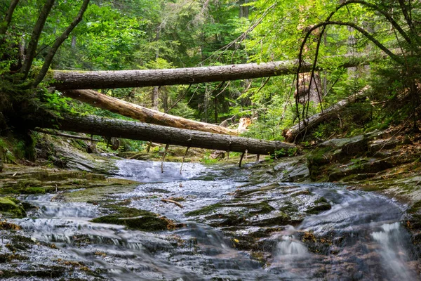 Φαράγγι Των Καταρρακτών Κοντά Στην Πόλη Smolyan Που Βρίσκεται Στη — Φωτογραφία Αρχείου