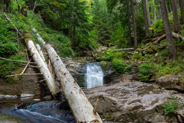 Bukott Fák Vízesések Kanyonjában Bulgáriai Smolyban Található Város Közelében — Stock Fotó