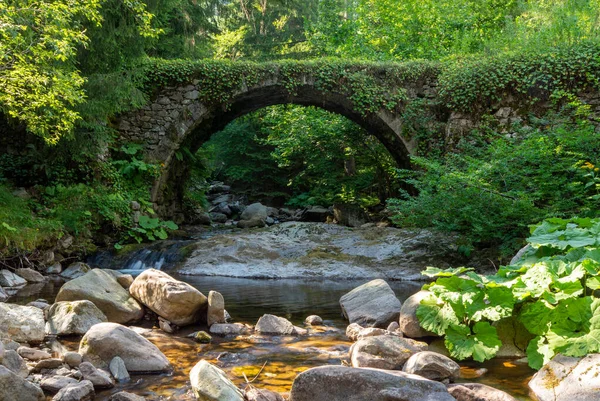Παλιά Ρωμαϊκή Γέφυρα Στο Βουνό Ροδόπη Που Βρίσκεται Στη Βουλγαρία — Φωτογραφία Αρχείου