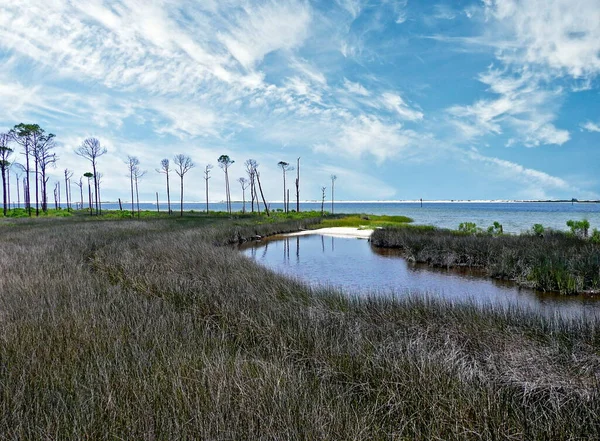 Kıyı Parkı Anakarayı Perdido Key Meksika Körfezi Nden Ayıran Adaşı — Stok fotoğraf