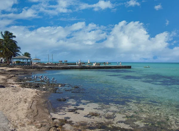 Scenic Visning Den Caribiske Eleuthera Bahamas - Stock-foto