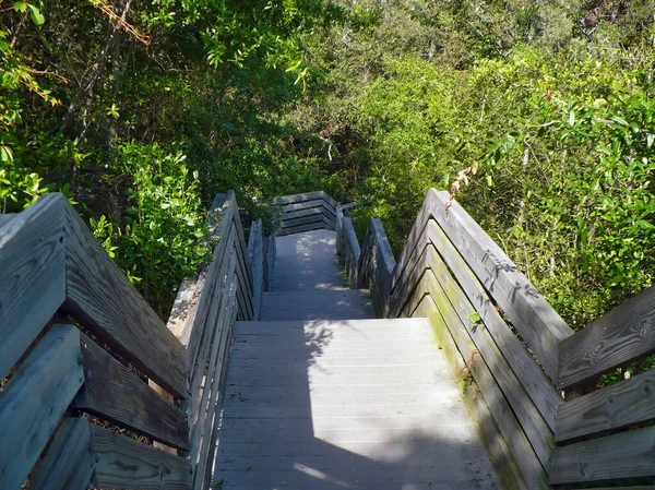 Boardwalk Dan Jejak Alam Mengarah Scenic Bluffs Park Pensacola Florida — Stok Foto