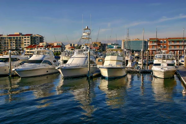 Boats Yachts Docked Palafox Pier Downtown Pensacola Florida — Stock Photo, Image