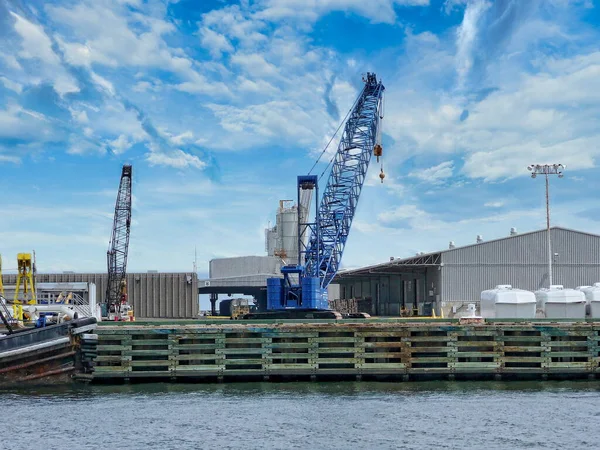 Grues Port Pensacola Pensacola Floride — Photo