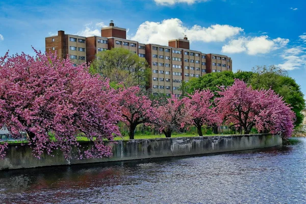 Der Mühlenfluss Schlängelt Sich Durch Den Mühlenflusspark Stamford Connecticut — Stockfoto