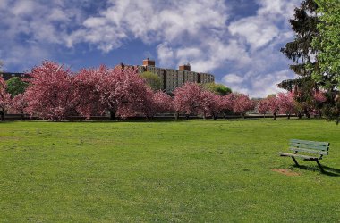 Mill River Park, Stamford, Connecticut 'ta terk edilmiş bir bank.