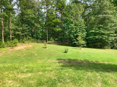 Alabama kırsalında doğa ve manzara