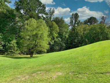 Alabama kırsalında doğa ve manzara