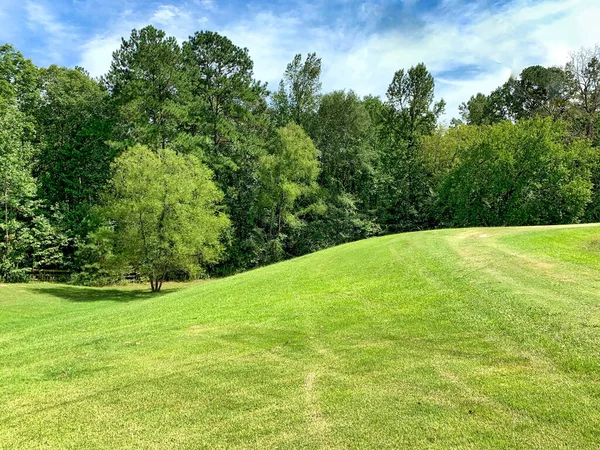 Alabama kırsalında doğa ve manzara