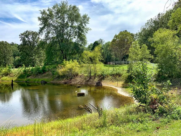 Outdoor Nature Landscape Setting Pond Rural Alabama — Stock Photo, Image