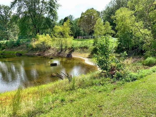 Outdoor Nature Landscape Setting Pond Rural Alabama — Stock Photo, Image