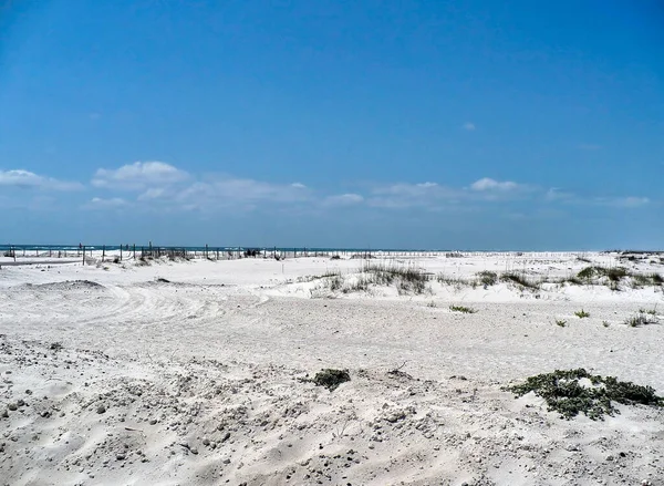 佛罗里达州彭萨科拉海滩上的白沙和沙丘 — 图库照片