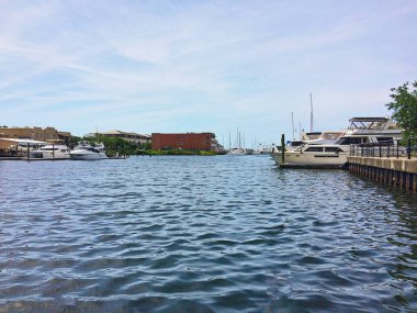 Pensacola, Florida 'da bir marinaya yanaşmış tekne ve yatlar.