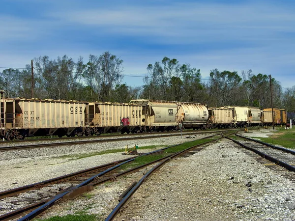 Freight Cars Sitting Csx Train Yard Pensacola Florida Usa — Stock Photo, Image