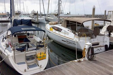 Pensacola, Florida 'da bir marinaya yanaşmış tekne ve yatlar.
