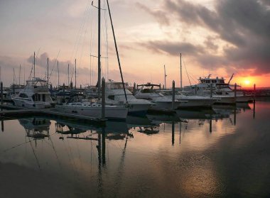Pensacola, Florida 'da bir marinaya yanaşmış tekne ve yatlar.