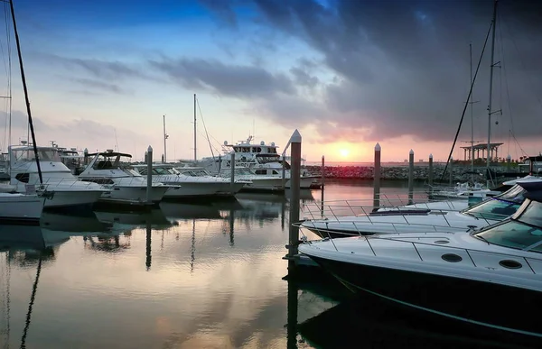 Pensacola, Florida 'da bir marinaya yanaşmış tekne ve yatlar.