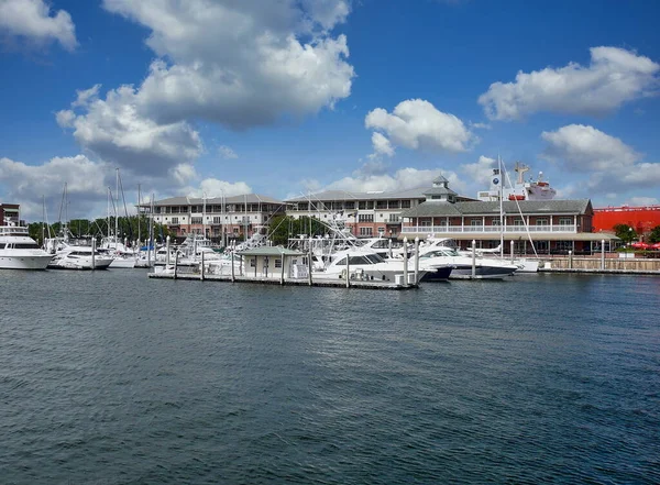 与帕拉克斯码头和游艇港码头共享港口的船只停泊在佛罗里达州彭萨科拉市中心 — 图库照片