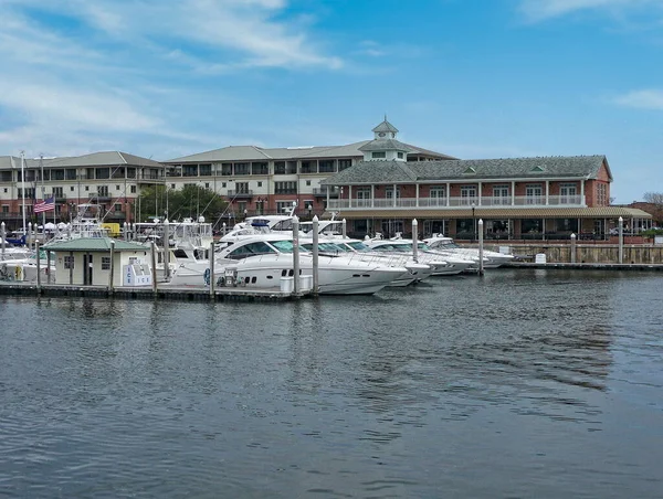 与帕拉克斯码头和游艇港码头共享港口的船只停泊在佛罗里达州彭萨科拉市中心 — 图库照片
