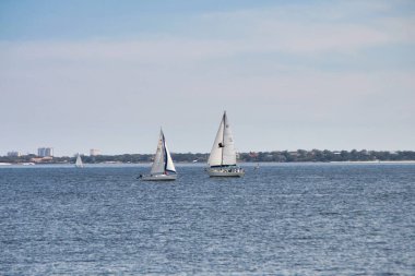 Pensacola Körfezi 'ndeki yelkenliler, Pensacola, Florida, ABD