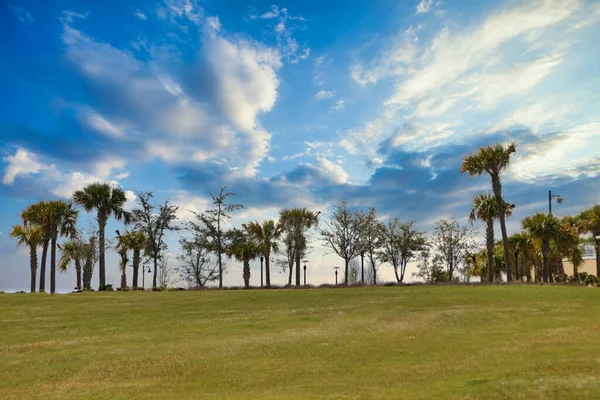 Landschaft Community Maritime Park Der Pensacola Bay Pensacola Florida Usa — Stockfoto