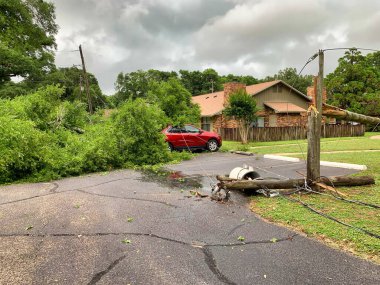 Park etmiş arabalar ve kırık elektrik direği devrilmiş ağaçlar tarafından ezilmiş.