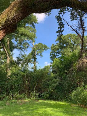 Yaz Piknik Mutfağı