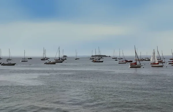 Boats Anchored Water — Photo