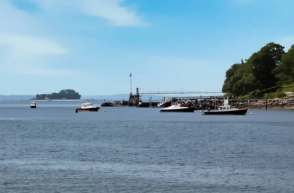 Boats Anchored Water — 스톡 사진