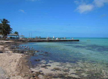 Doğal görünümü Karayip ada: Eleuthera, Bahamas