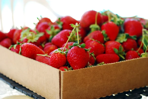 Fresas maduras rojas en caja de cartón — Foto de Stock