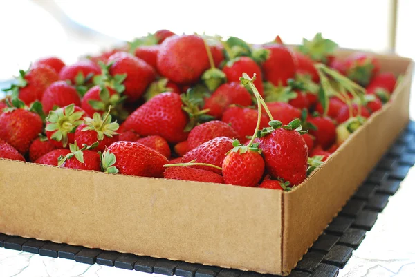 Fresas maduras rojas en caja de cartón — Foto de Stock