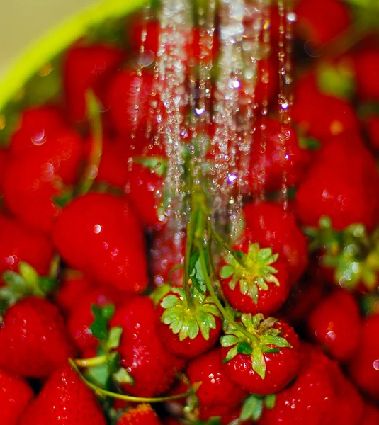 Fresas rojas maduras en un tazón verde — Foto de Stock