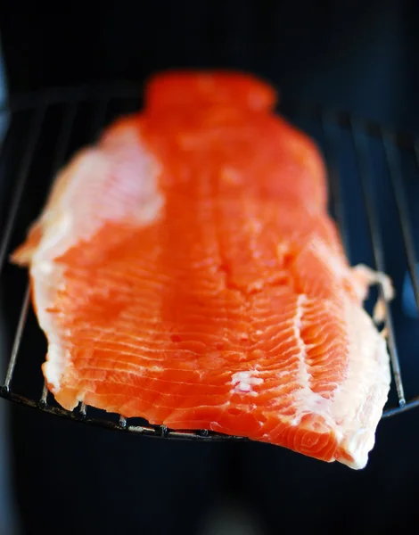 Fillet of rainbow trout — Stock Photo, Image